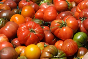 heirloom-tomatoes-large3