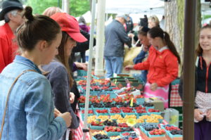 photo of people looking at baskets of berries