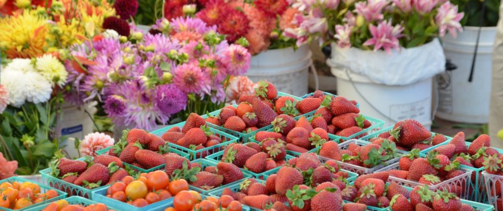 Strawberries_Flowers_Lents_2016-resized