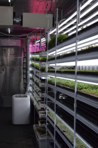 racks of microgreen farms