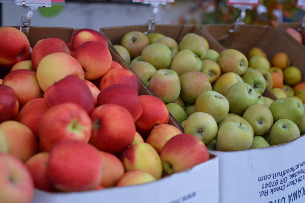 photo of apples in boxes