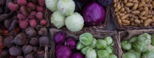 photo of winter cabbage and root vegetables