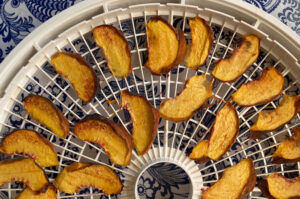 Dehydrated peaches on a white tray with a blue tablecloth.