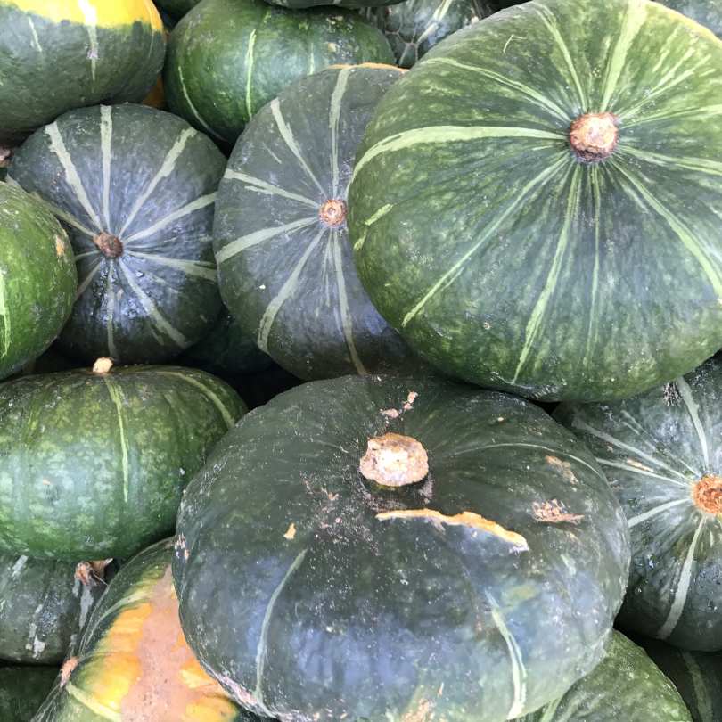 photo of green kabocha squash