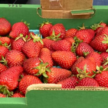 Albion strawberries